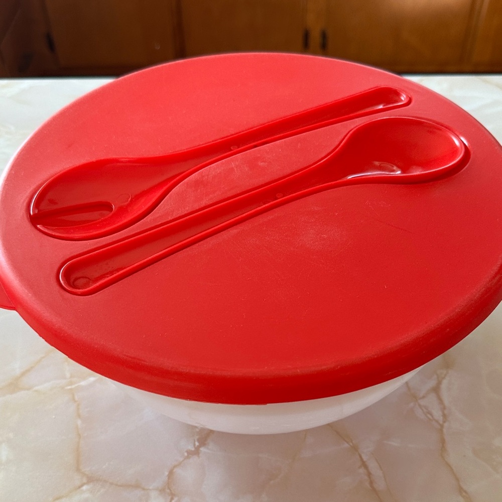 Travel Salad Bowl Set